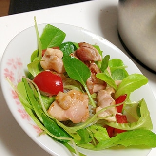 ベビーリーフと鶏肉の春雨サラダ